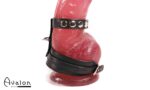 Avalon - ENDURENCE - Cock & Ball Harness med Spenner - Svart