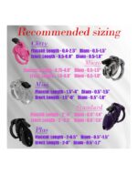 The Vice Clitty - Chastity Set - Kuklås sett - Rosa