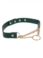 Sex and Mischief - Grønn Collar med Gulldetaljer - Bilde 4