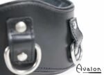 Avalon - CONQUER - Collar med god polstring, Svart
