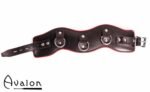 Avalon - CONQUER - Collar med god polstring, Svart