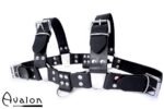 Avalon - BLAZON - Harness Svart