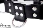 Avalon - BLAZON - Harness Svart