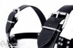 Avalon - BLAZON - Harness Svart