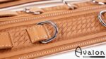 Avalon - LUST - Collar og Cuffs, 5 deler, Brunt og Hvitt