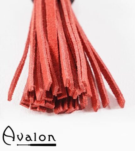 Avalon - PRIDE - Kort nøkkelringflogger, rød